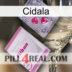 Cidala 32